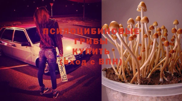 spice Киреевск