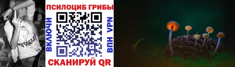 Псилоцибиновые грибы Cubensis Купить закладки Барабинск